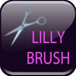 Coiffeur lilly brush - 1 - 