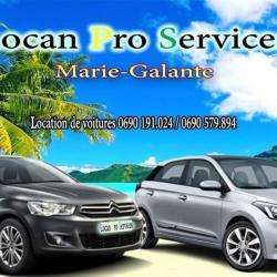 Location de véhicule Locan Pro Services - 1 - 