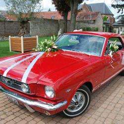 Locationfordmustang Othis
