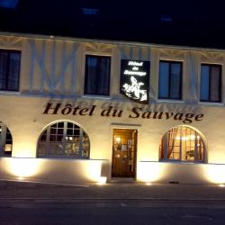Logis Hôtel Du Sauvage