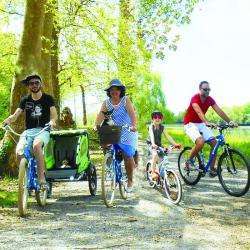 Vélo loue1velo - 1 - A L'ombre Des Platanes Du Canal Du Midi En Famille - 