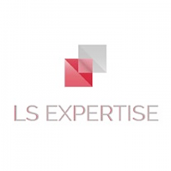 Comptable Ls Expertise - 1 - 
