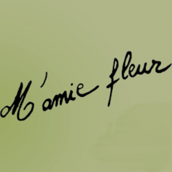 Fleuriste M'Amie Fleur - 1 - 