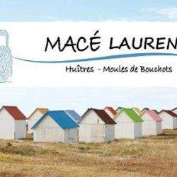 Macé Laurent Gouville Sur Mer