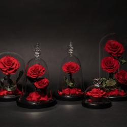Décoration MADAME VEUT DES ROSES - Livraison de roses éternelles - 1 - 