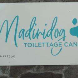 Salon de toilettage Madinidog - 1 - 