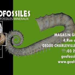 Antiquité et collection magasin geofossiles - 1 - 