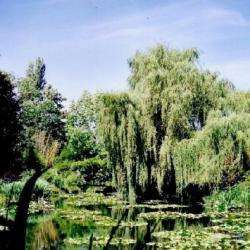 Maison Et Jardins De Claude Monet