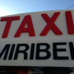 Taxi Taxi Miribel - 1 - 
