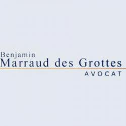 Avocat Marraud des Grottes Benjamin - 1 - 