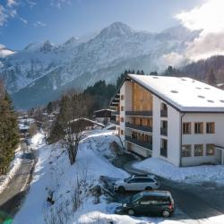 Agence immobilière Martin Beaujouan Efficity Mont-Blanc - 1 - 