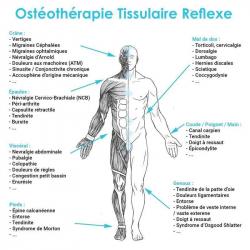 Massage Massages-Ostéothérapie-Naturopathie - 1 - Ostéothérapie Tissulaire Réflexe - 