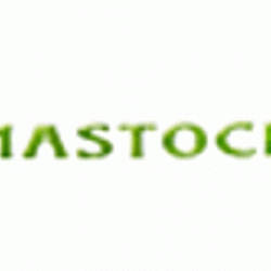 Mastock Ducos