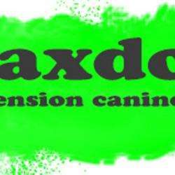 Garde d'animaux et Refuge Maxdog - 1 - 