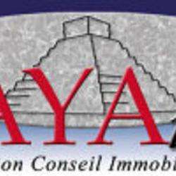Agence immobilière Maya - 1 - 