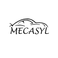 Centres commerciaux et grands magasins MECASYL - 1 - 