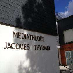 Mediatheque Municipale Jacques Thyraud Romorantin Lanthenay