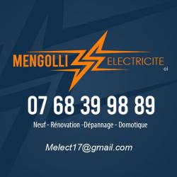 Electricien MENGOLLI ELECTRICITE - 1 - 