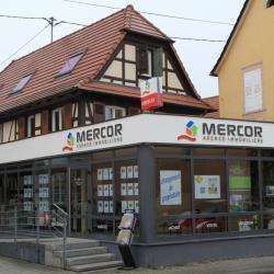 Mercor Agence Immobilière Holtzheim