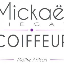 Coiffeur Mickaël PIEGAY COIFFEUR - 1 - 