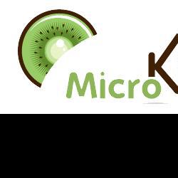 Commerce Informatique et télécom MicroKiwi - 1 - 