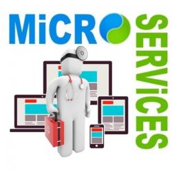 Microservices Perpignan