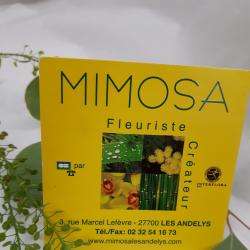 Mimosa Les Andelys