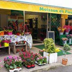 Fleuriste MOISSON DE FLEURS - 1 - Crédit Photo : Page Facebook, Moisson De Fleurs  - 