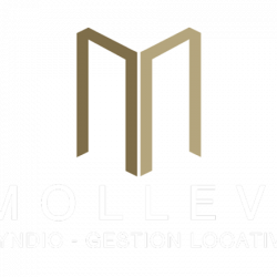 Entreprises tous travaux Mollevi - 1 - 
