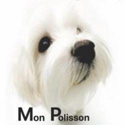Centres commerciaux et grands magasins Mon Polisson - 1 - 