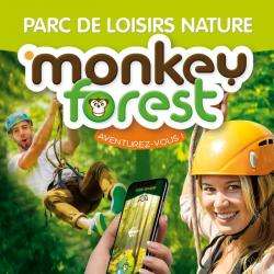 Parcs et Activités de loisirs Monkey Forest - 1 - 