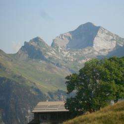 Site touristique Mont Charvin - 1 - 