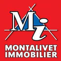 Agence immobilière MONTALIVET IMMOBILIER - 1 - 