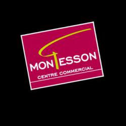 Centres commerciaux et grands magasins Centre Commercial Carrefour Montesson - 1 - 