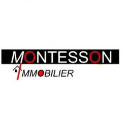 Agence immobilière Montesson Immobilier - 1 - 