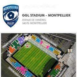 Association Sportive Montpellier Hérault Rugby - 1 - 
