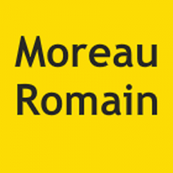 Moreau Romain Villeurbanne