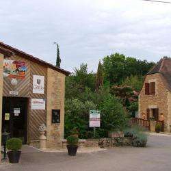 Le Moulin Du Roch - 4 étoiles Saint André D'allas