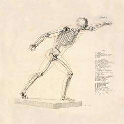 Ostéopathe Cabinet D'ostéopathie Thomas Moulin - 1 - 
