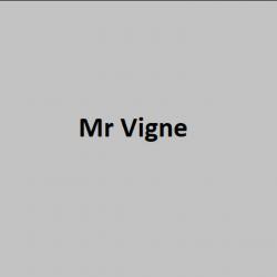 Mr Michel Vigne Port De Bouc