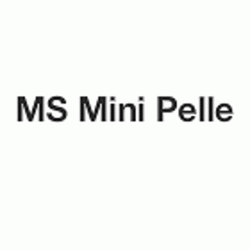 Ms Mini Pelle Mont De Marsan