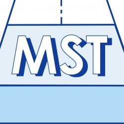 Magasin de bricolage MST - Materiaux Stabilises De Trappes - 1 - 