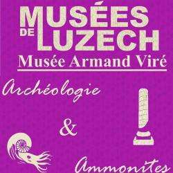 Musée Musée Archéologique armand viré - 1 - 