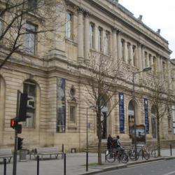 Musée Musée d'Aquitaine - 1 - 