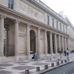 Musee D'histoire De La Medecine Paris