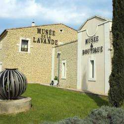 Musée Musée de la lavande - 1 - 