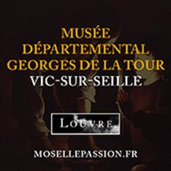 Musée Musée Départemental Georges De La Tour - 1 - 