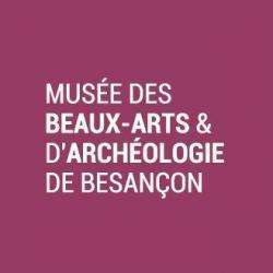 Musée musée des beaux-arts et d'archéologie - 1 - 
