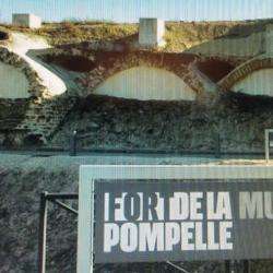 Musée Musée Du Fort De La Pompelle - 1 - 