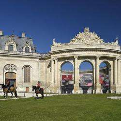 Musée Du Cheval Chantilly